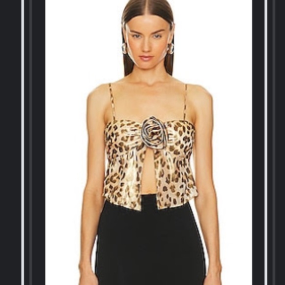 Leopard Crop Top Revolve - Picture 3 of 3